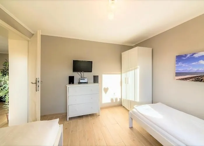 Strandgut Eg Morsum (Sylt)