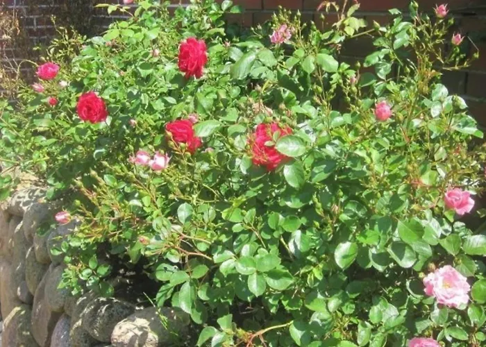 Apartamento Strandgut Eg Morsum (Sylt)